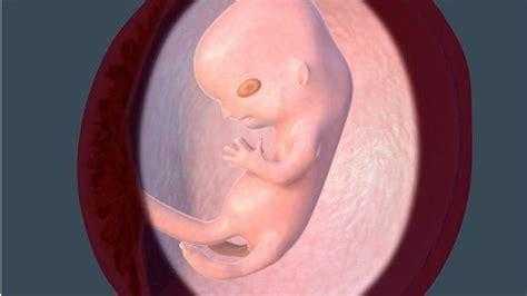 怀孕胎儿比实际天数小（胎儿比实际天数小的原因）